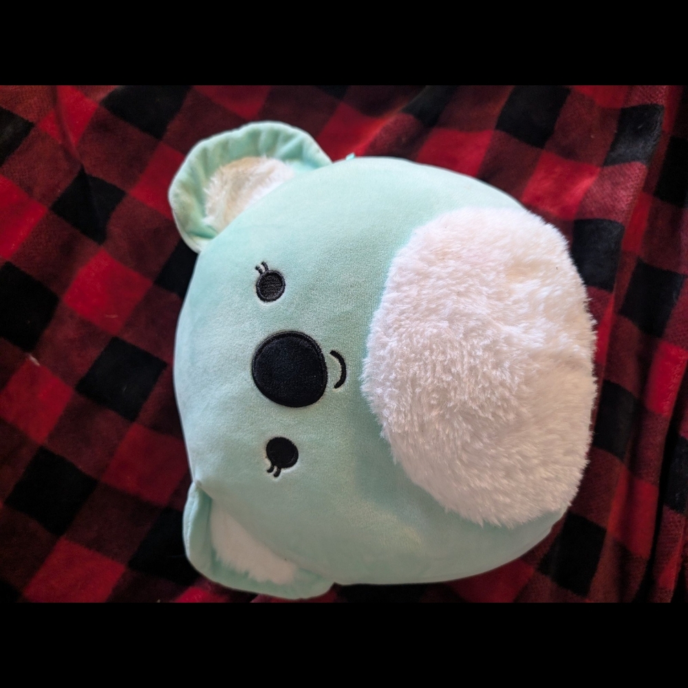 Koala Squishmallow